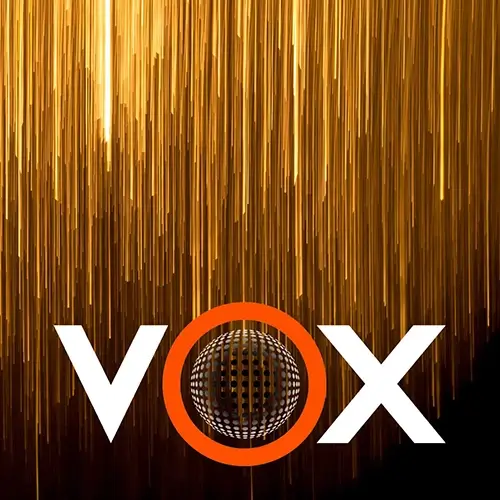 Gold sparkling falling glitter lights on a black background with the VOX logo at the bottom. Photo by Rene Böhmer on Unsplash.